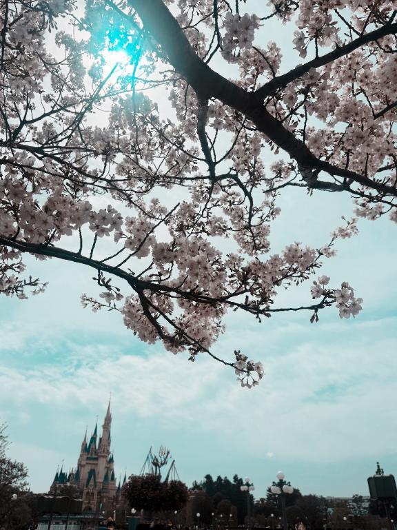 うぅー(´・ω・｀)｜写メ日記｜ゆきな｜池袋 人妻デリヘル 池袋人妻城