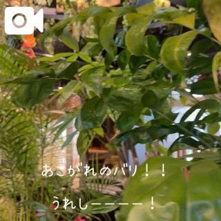 昨日のお客様が｜写メ日記｜みなと｜池袋 人妻デリヘル 池袋人妻城