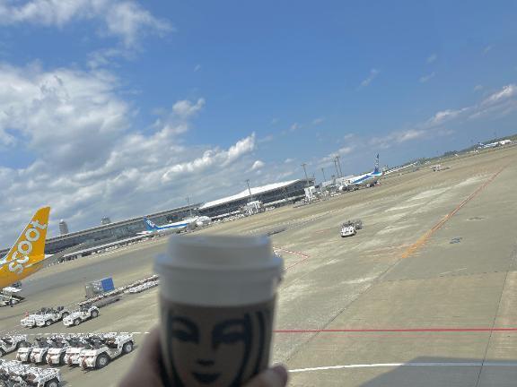 いってきます✈️｜写メ日記｜みずほ｜渋谷 人妻デリヘル 渋谷　蘭の会