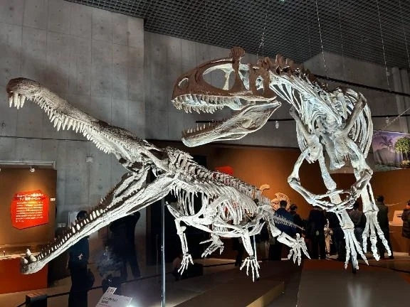 大絶滅展🌏🦕🦖｜写メ日記｜みずほ｜渋谷 人妻デリヘル 渋谷　蘭の会