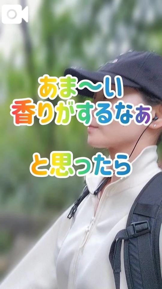 あま～い！｜写メ日記｜エレナ｜渋谷 人妻デリヘル 渋谷　蘭の会