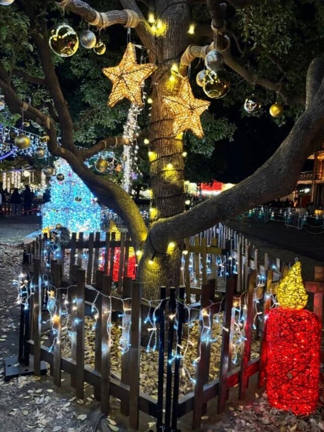 今年はなにもできない｜写メ日記｜やこ｜渋谷 人妻デリヘル 渋谷　蘭の会