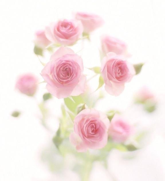 26日ご予約♡