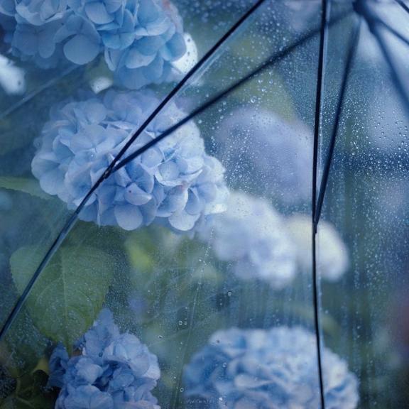 明日お会いしましょう♡