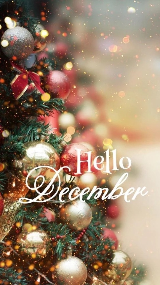 新しい月の始まり♡