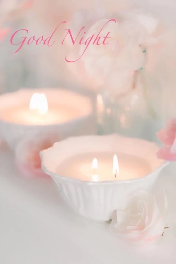 次回出勤♡｜写メ日記｜ゆりあ｜渋谷 人妻デリヘル 渋谷　蘭の会