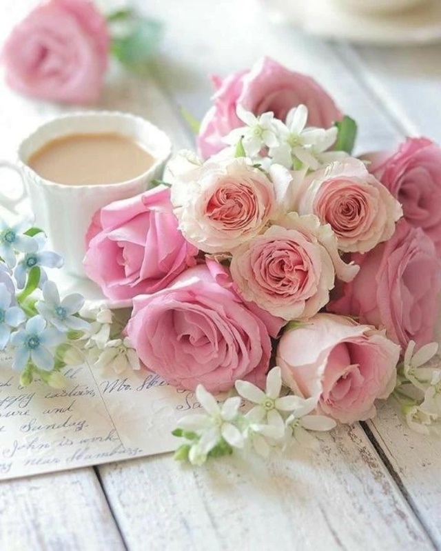 スケジュール♡｜写メ日記｜ゆりあ｜渋谷 人妻デリヘル 渋谷　蘭の会