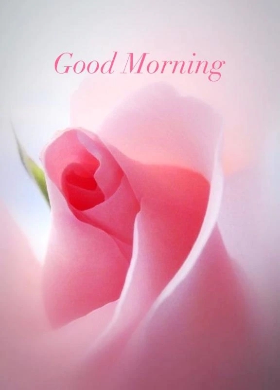 お待ちしております♡｜写メ日記｜ゆりあ｜渋谷 人妻デリヘル 渋谷　蘭の会