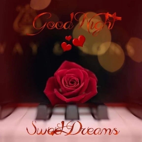 次回出勤のお知らせ♡｜写メ日記｜ゆりあ｜渋谷 人妻デリヘル 渋谷　蘭の会