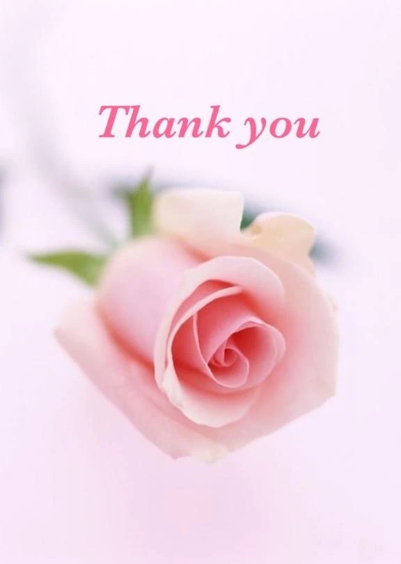 T様♡｜写メ日記｜ゆりあ｜渋谷 人妻デリヘル 渋谷　蘭の会