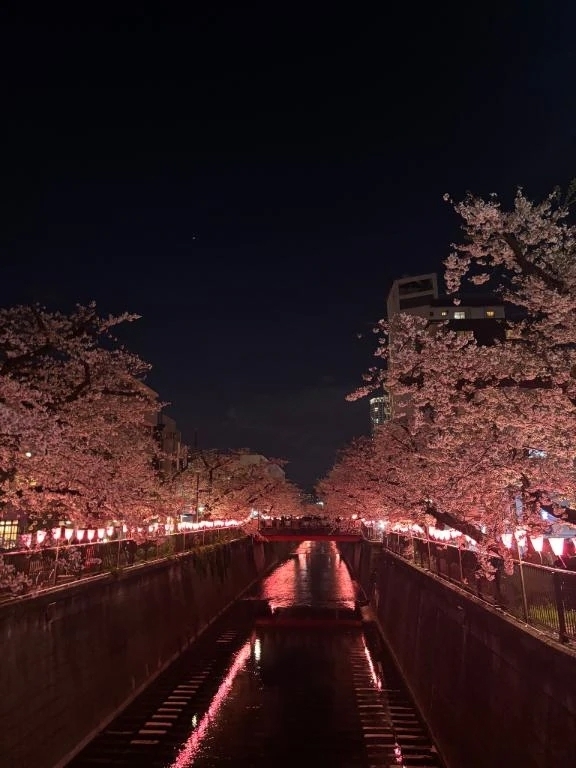 iさん♪有難う御座いました(≧∇≦*)｜写メ日記｜光(ひかり)｜渋谷 人妻デリヘル 渋谷　蘭の会