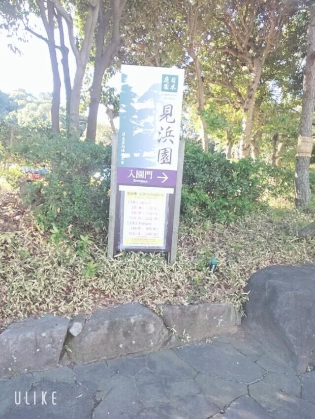 ドンジン｜写メ日記｜なみか｜渋谷 人妻デリヘル 渋谷　蘭の会