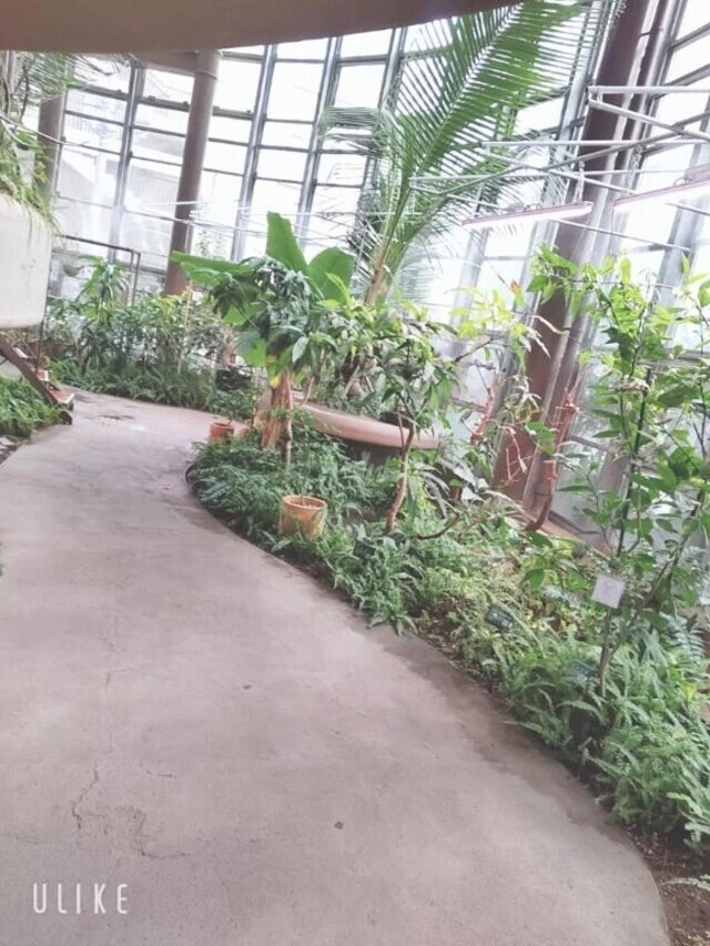 日本一小さな植物園🌷｜写メ日記｜なみか｜渋谷 人妻デリヘル 渋谷　蘭の会
