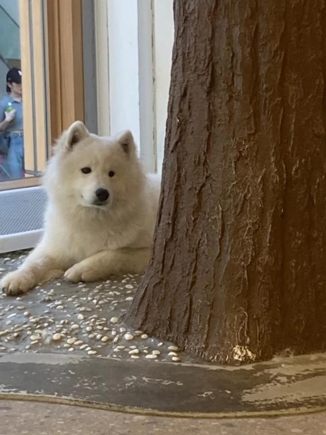 明日｜写メ日記｜渚(なぎさ)｜渋谷 人妻デリヘル 渋谷　蘭の会