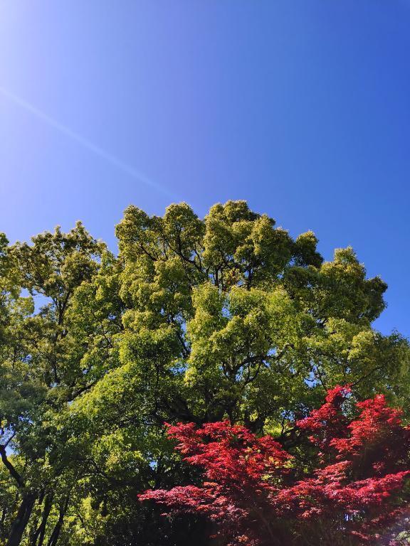 🌞空が青くて快晴でした🌞
