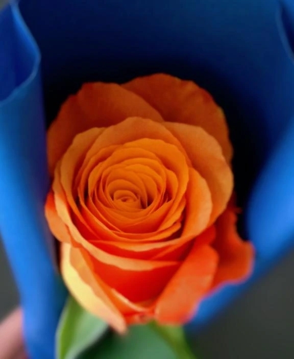 2025年🐍感謝を込めて♡