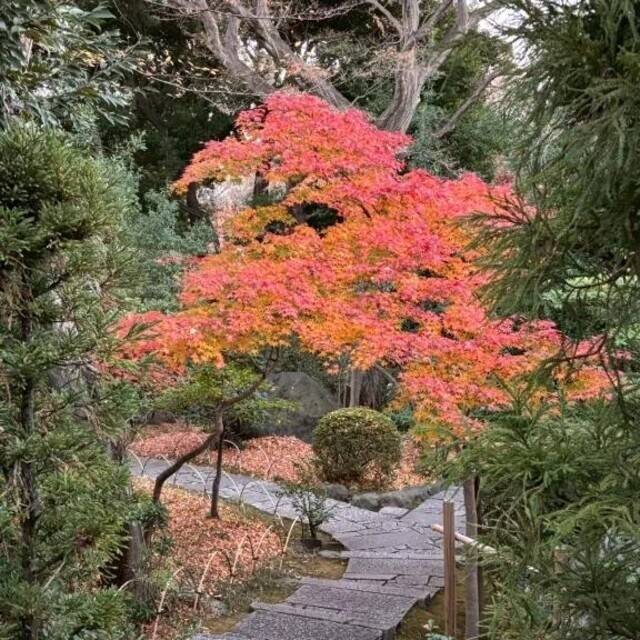 2026年心新たに🐴