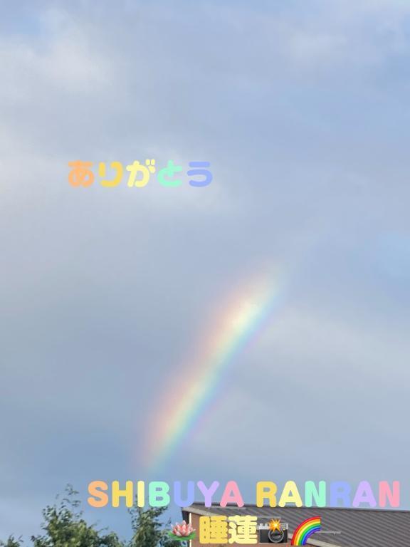 私は虹をみる。｜写メ日記｜睡蓮(すいれん)｜渋谷 人妻デリヘル 渋谷　蘭の会