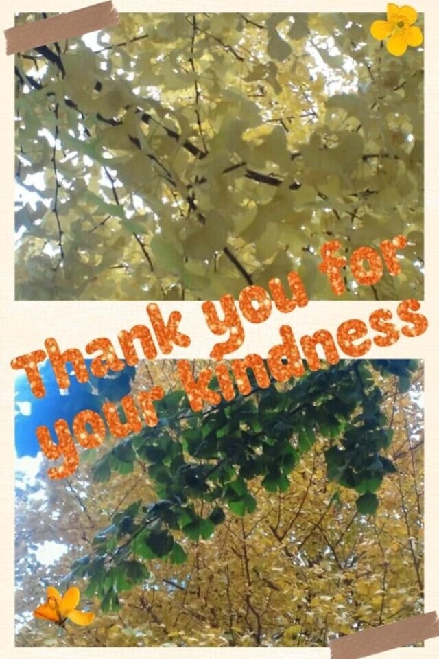 全ての人にありがとう🥲✨✨｜写メ日記｜遼花(りょうか)｜渋谷 人妻デリヘル 渋谷　蘭の会