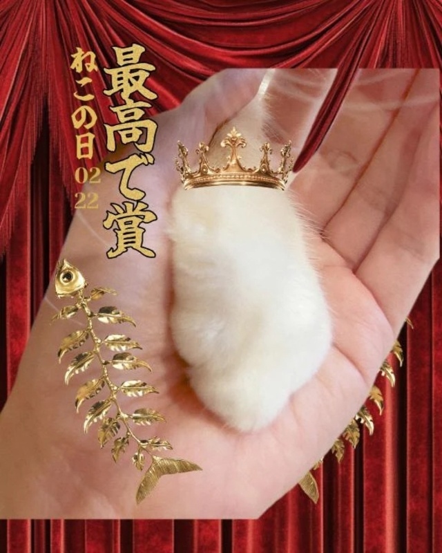 今日はニャンの日？｜写メ日記｜遼花(りょうか)｜渋谷 人妻デリヘル 渋谷　蘭の会