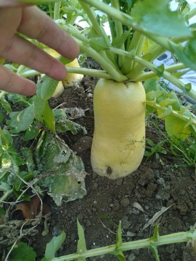 祝日の1日お疲れ様です☺️🍫