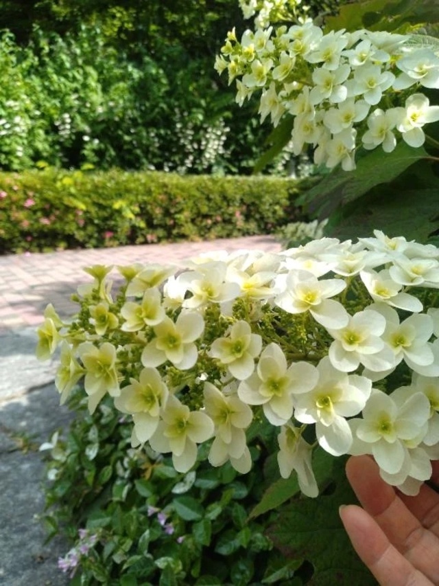 その後、調子どうでしょう？