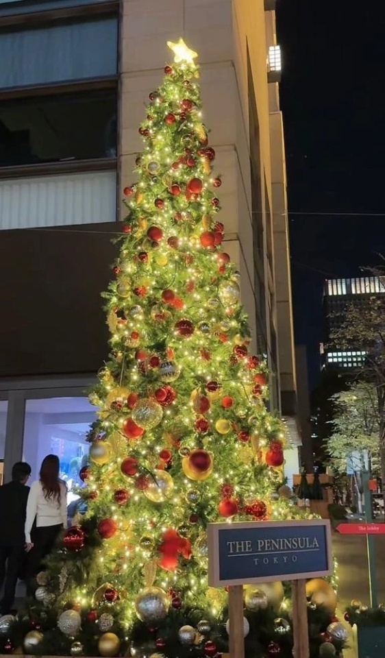ツリー🎄｜写メ日記｜あんじゅ｜渋谷 人妻デリヘル 渋谷　蘭の会