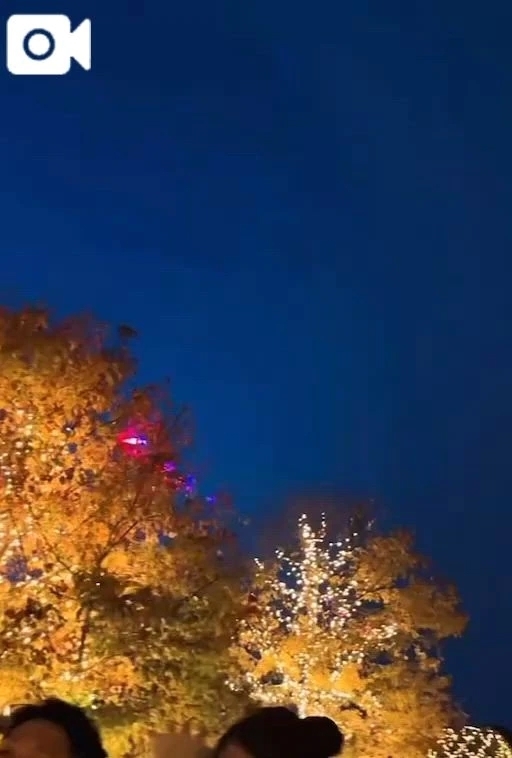 こんばんは✨｜写メ日記｜あんじゅ｜渋谷 人妻デリヘル 渋谷　蘭の会