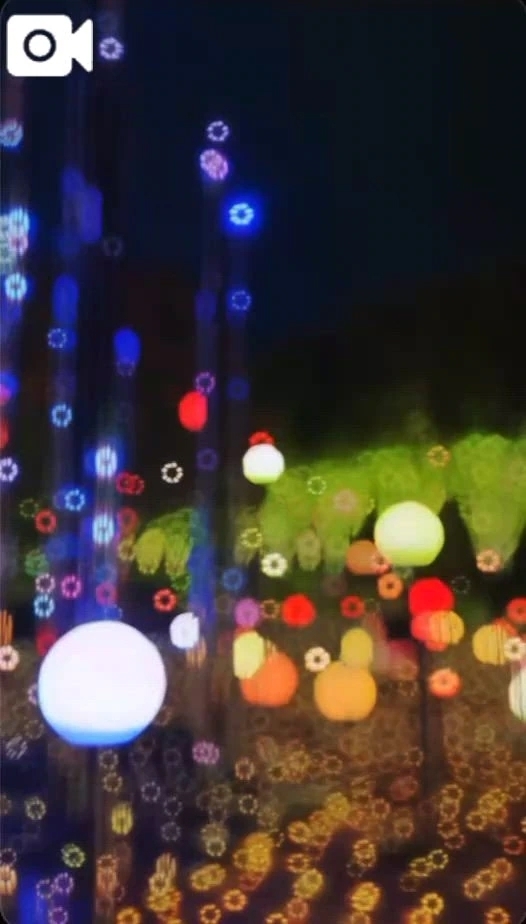 今日は｜写メ日記｜あんじゅ｜渋谷 人妻デリヘル 渋谷　蘭の会