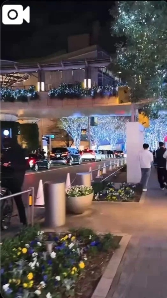 綺麗｜写メ日記｜あんじゅ｜渋谷 人妻デリヘル 渋谷　蘭の会