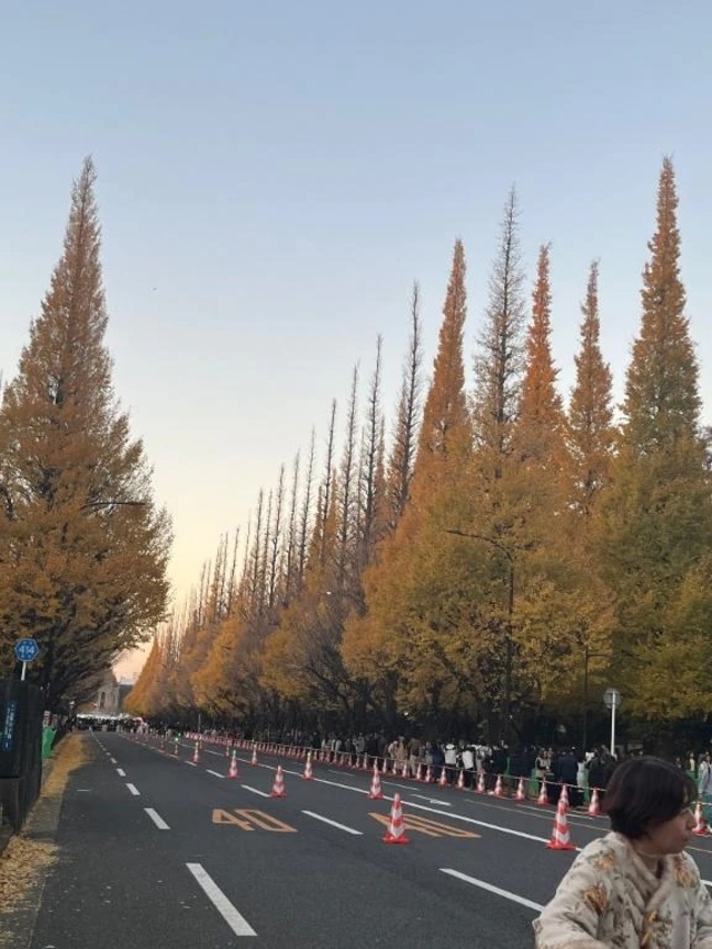 こんばんは｜写メ日記｜あんじゅ｜渋谷 人妻デリヘル 渋谷　蘭の会