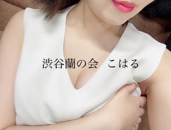 ビニール傘やめたい