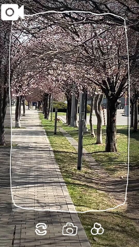 キツネもお花見？｜写メ日記｜ちとせ｜渋谷 人妻デリヘル 渋谷　蘭の会