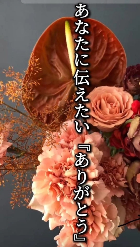 お昼間の◯さま