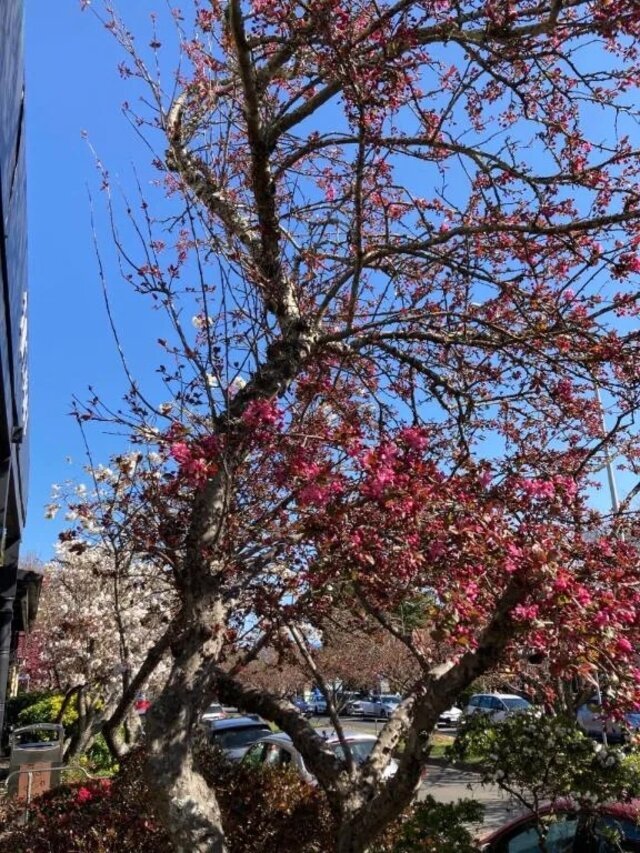 12時から出勤します。