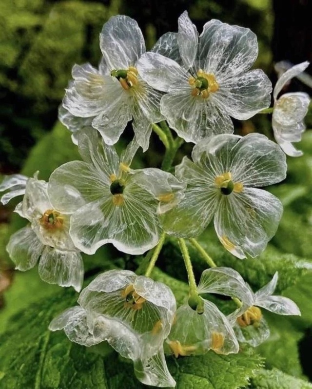 出勤しました〜。｜写メ日記｜千草(ちぐさ)｜渋谷 人妻デリヘル 渋谷　蘭の会