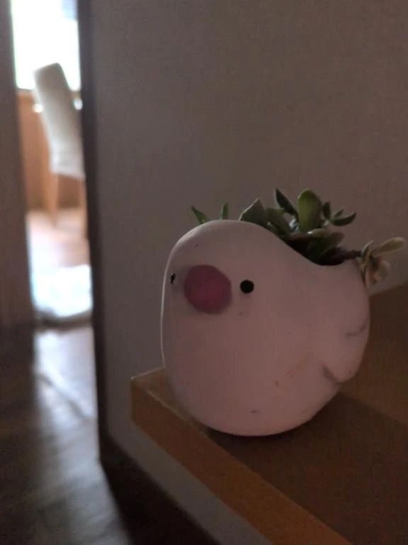 大変申し訳ございません。｜写メ日記｜あかり｜渋谷 人妻デリヘル 渋谷　蘭の会