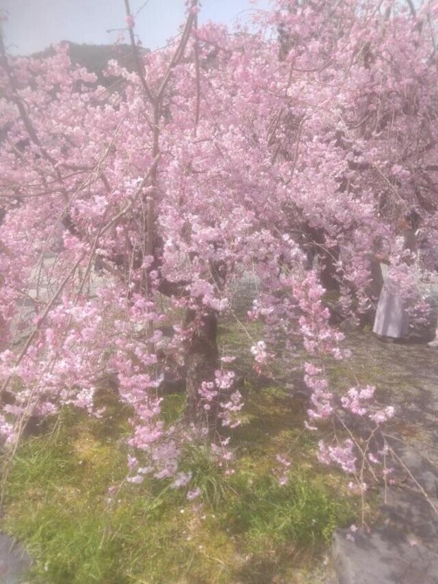 先程のお兄様😊｜写メ日記｜乙葉(おとは)｜渋谷 人妻デリヘル 渋谷　蘭の会