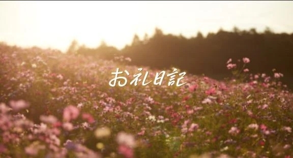 Tさんへ