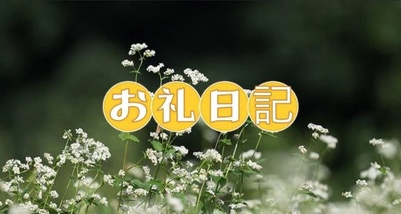 Sさんへ