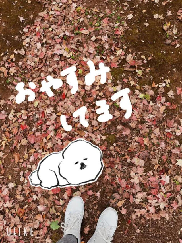 ちょっとおやすみ♡