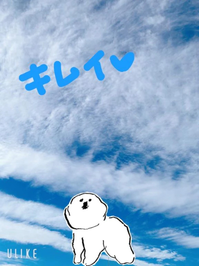 おはようございます🌞