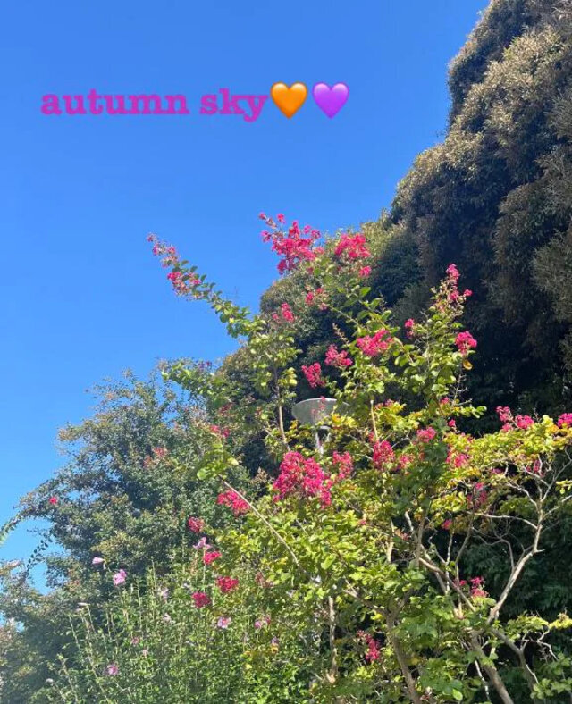 復活しました☺️💗｜写メ日記｜愛(あい)｜渋谷 人妻デリヘル 渋谷　蘭の会