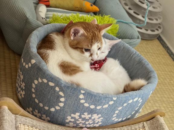 ♡お疲れ様♡｜写メ日記｜れいら｜錦糸町・小岩・葛西 人妻デリヘル One More 奥様 錦糸町店