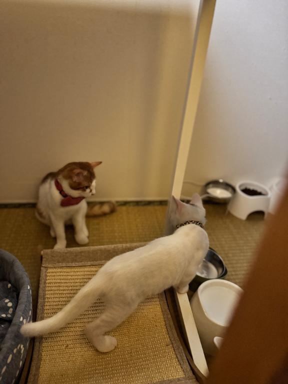 お疲れ様です、最後までありがとございます♡｜写メ日記｜れいら｜錦糸町・小岩・葛西 人妻デリヘル One More 奥様 錦糸町店
