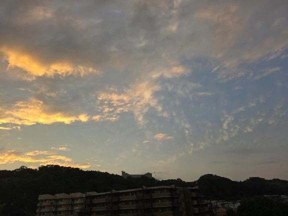 ありがとう❤｜写メ日記｜みか｜錦糸町・小岩・葛西 人妻デリヘル One More 奥様 錦糸町店