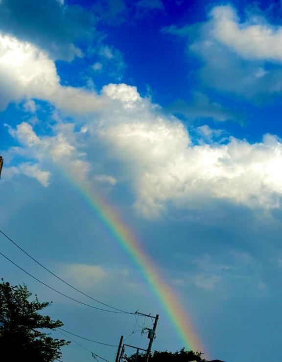 虹🌈