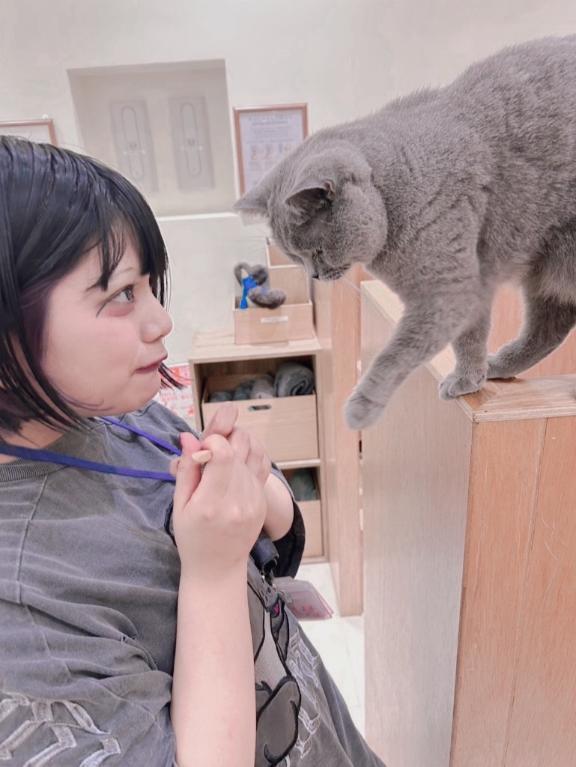 にゃ！｜写メ日記｜れんげ｜錦糸町・小岩・葛西 人妻デリヘル One More 奥様 錦糸町店