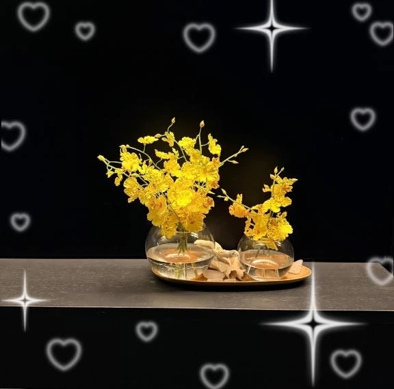 出勤♡｜写メ日記｜なおみ｜錦糸町・小岩・葛西 人妻デリヘル One More 奥様 錦糸町店