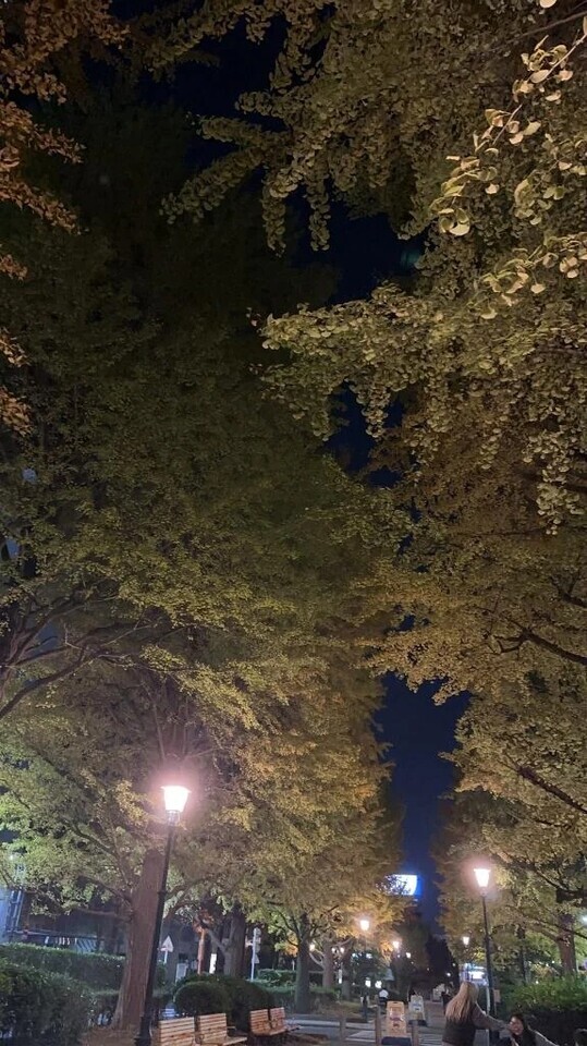 今夜も｜写メ日記｜みちる｜錦糸町・小岩・葛西 人妻デリヘル One More 奥様 錦糸町店